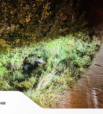 На Прикарпатті двоколісник вилетів з дороги точнісінько у дерево: водій загинув. ФОТО