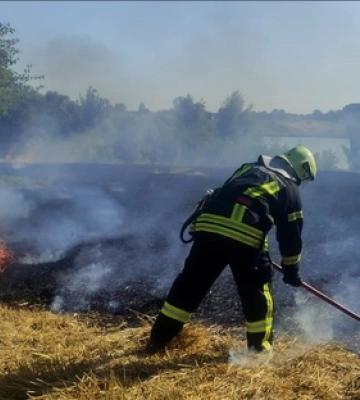Чотири пожежі за добу: на Волині люди масово палять сухостій