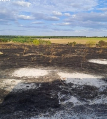 На Запоріжжі через обстріли РФ спалахнула пожежа - вигоріли 11 гектарів території, загинула жінка