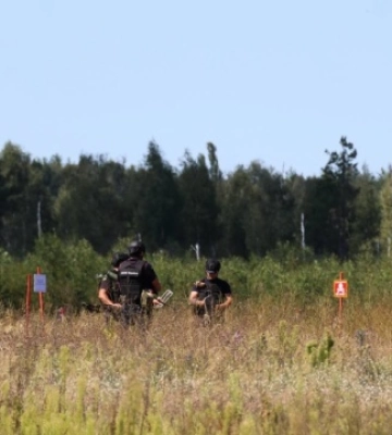 На Київщині вже розмінували 7,5 тисяч гектарів сільськогосподарських земель - ОВА