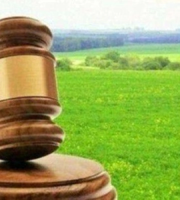 Аукціони «Земельного банку» на цьому тижні принесли понад 26 млн грн економічного ефекту