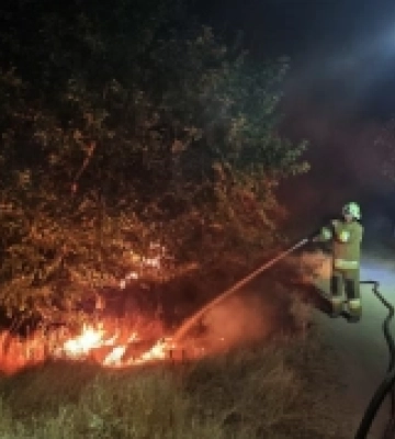 У Миколаївській області за добу сталося 36 пожеж: горіли суха трава, чагарники, сміття та очерет