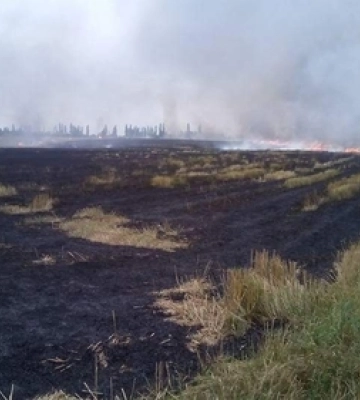 Горить трава: на Волині загасили дві пожежі