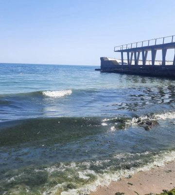 «Цвітіння» моря в Одесі: вода потребує додаткових досліджень