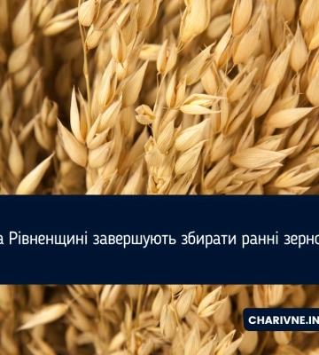 На Рівненщині завершують збирати ранні зернові