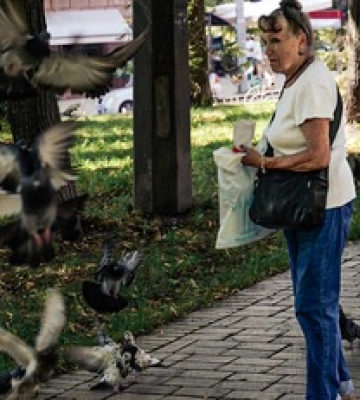 Літній Київ у обʼєктиві Апострофа – фото