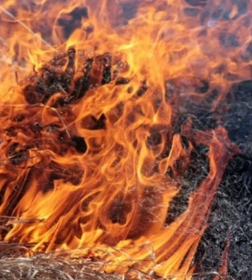 На Львівщині чоловік намагався загасити пожежу сухостою та мало не згорів живцем