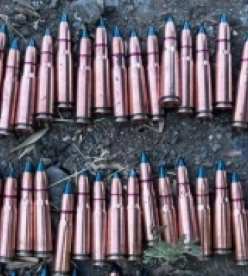 У Миколаївському районі поліцейські викрили місцевого мешканця на незаконному збуті боєприпасів та набоїв
