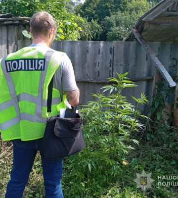 На Глухівщині поліцейські виявили наркоаграрія