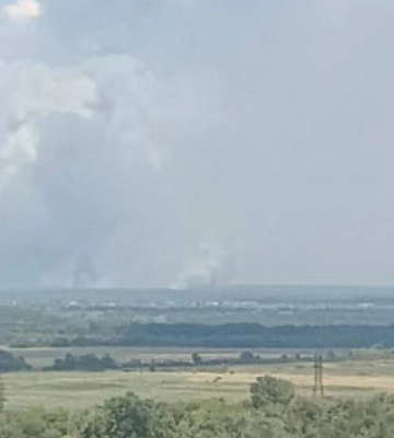 На окупованій Луганщині горить ліс — вогонь підкрався до дач