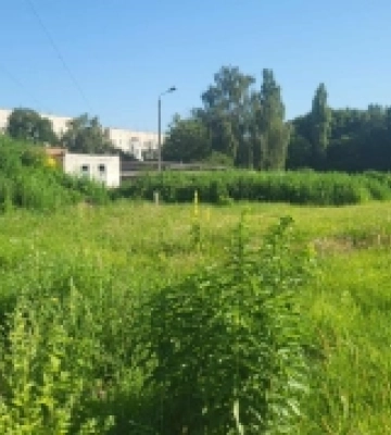 Тривають підготовчі роботи: яка ситуація з будівництвом шкільного укриття в Острозі