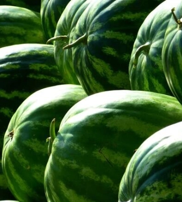 Де на цьому тижні у Києві пройдуть продуктові ярмарки. Адреси