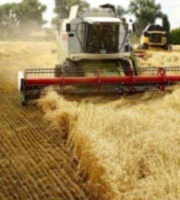Аграрії Рівненщини зібрали понад 670 тисяч тонн ранніх зернових