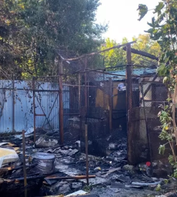 У Мукачеві через підпал сміття ледь не згорів житловий будинок