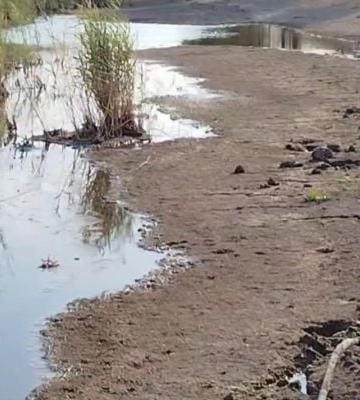 Сухое дно и тонкий ручеек: В Мелитополе показали ужасающее состояние реки Молочной (видео)