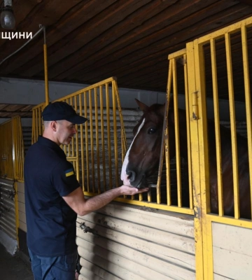 Хіміки ДСНС Рівненщини пройшли сеанс іпотерапії для психологічного відновлення