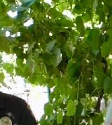 Втік із порожніми руками: грабіжник на Одещині розгубив украдених нутрій після бійки з господарем