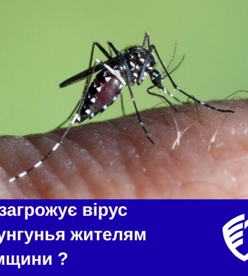 Чи загрожує вірус Чікунгунья жителям Сумщини ?