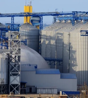 &quot;Епіцентр&quot; і Урбанські будують зерновий термінал на 5 млн т