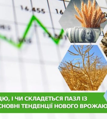 Тиск на пшеницю, і чи складеться пазл із кукурудзою: основні тенденції нового врожаю