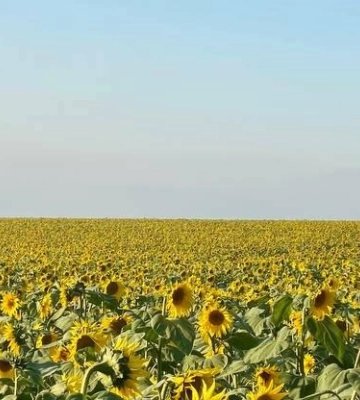 Четвер у Полтаві буде хмарним, але без опадів