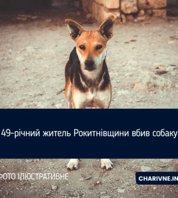 49-річний житель Рокитнівщини вбив собаку