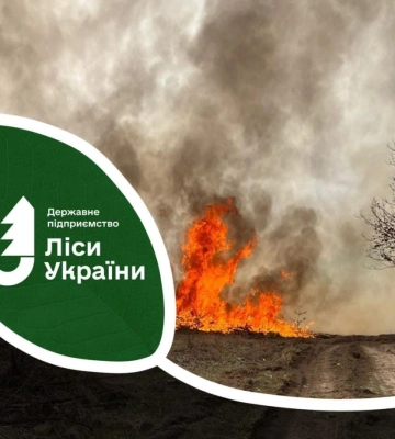На Волині і Рівненщині зайнялися дві лісові пожежі, спричинені падінням шахедів