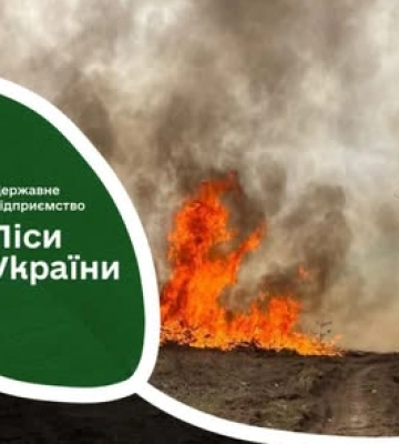 Під час чергової ворожої атаки на Волині та Рівненщині виникли дві лісові пожежі