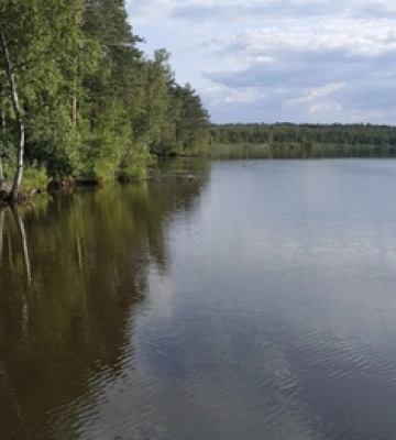 Найдревніше озеро Волині: показали унікальну водойму, якій майже 10 тисяч років