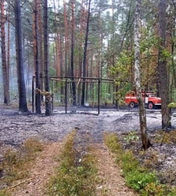 У Луцькому районі невідомі підпалили ліс