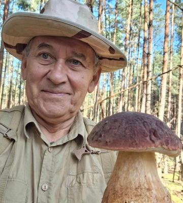 «Грибний» дощик іде, а в лісі — не густо