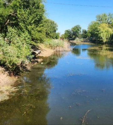 Жителі Кілії Одеської області самостійно очистили водойму у місцевому парку