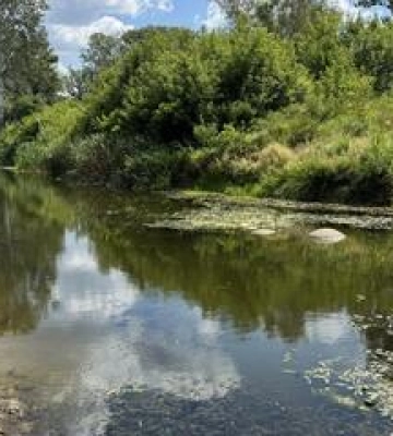 У полтавських річках спостерігають маловоддя
