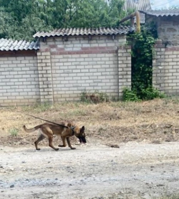 За два місяці вибухотехніки поліції Кіровоградщини обстежили понад 40 гектарів земель на Херсонщині