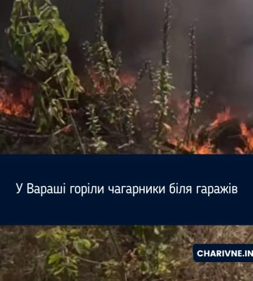 У Вараші горіли чагарники біля гаражів