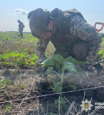 Вибухотехніки поліці Кіровоградщини обстежили понад 40 га територій на деокупованій Херсонщині (ФОТОФАКТ)