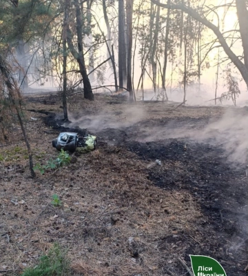 У лісі на Полтавщині підбита ворожа ракета спричинила пожежу