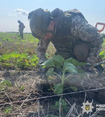 Понад 40 гектарів на Херсонщині обстежили вибухотехніки поліції Кіровоградщини у складі зведеного загону 