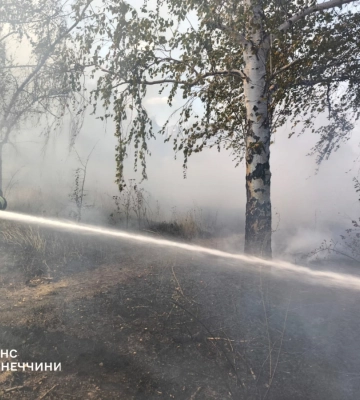 Під Святогірськом виникла масштабна лісова пожежа: рятувальники гасять вогонь другий день
