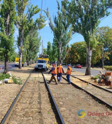 В Одесі «Міськзелентрест» прибирає повалені вітром дерева