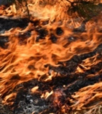 У Вараші поруч із гаражами горіли чагарники