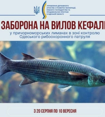 На Одещині почала діяти заборона на вилов азово-чорноморських кефалей