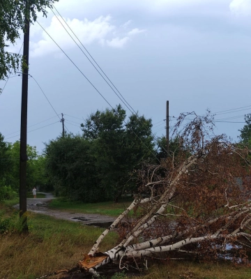 На Полтавщині буревій залишив без світла тисячі мешканців