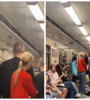 Сезонная миграция: в Киеве летучая мышь пропутешествовала в вагоне метро с левого берега на правый (видео)