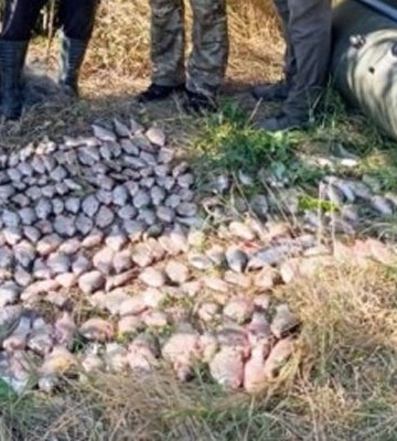 Мільйон збитків: на Одещині спіймали браконьєрів з 567 рибами