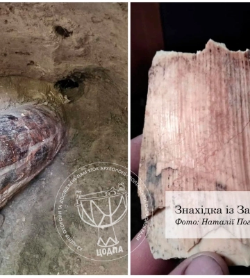 На Полтавщині випадково знайшли бивень мамонта