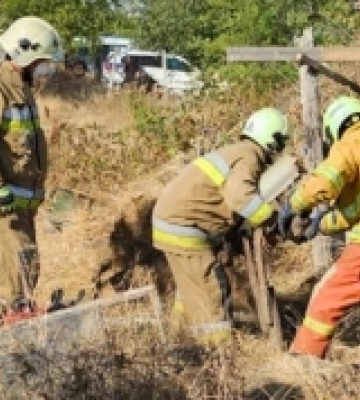 Позбавив життя через ревнощі: у Миколаївському районі затримали чоловіка за підозрою у вбивстві двох односельців