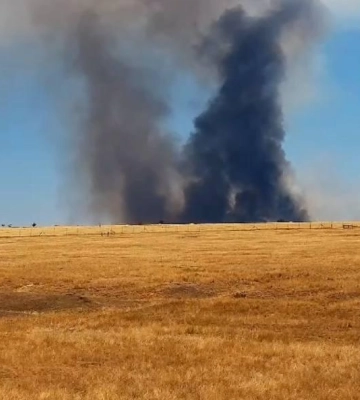 Масштабні пожежі на Одещині: вогонь підступав до вольєру з тваринами