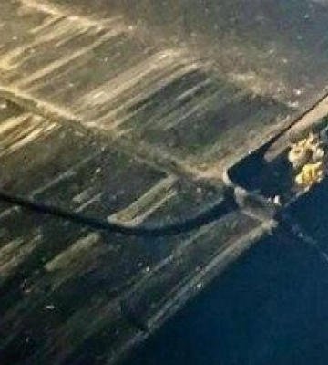 У Полтаві на автівку впало дерево, травмовані жінка з дитиною