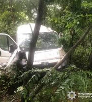 На Житомирщині зіткнулись два авто: є дев&#039;ятеро постраждалих, серед яких діти (ФОТО)
